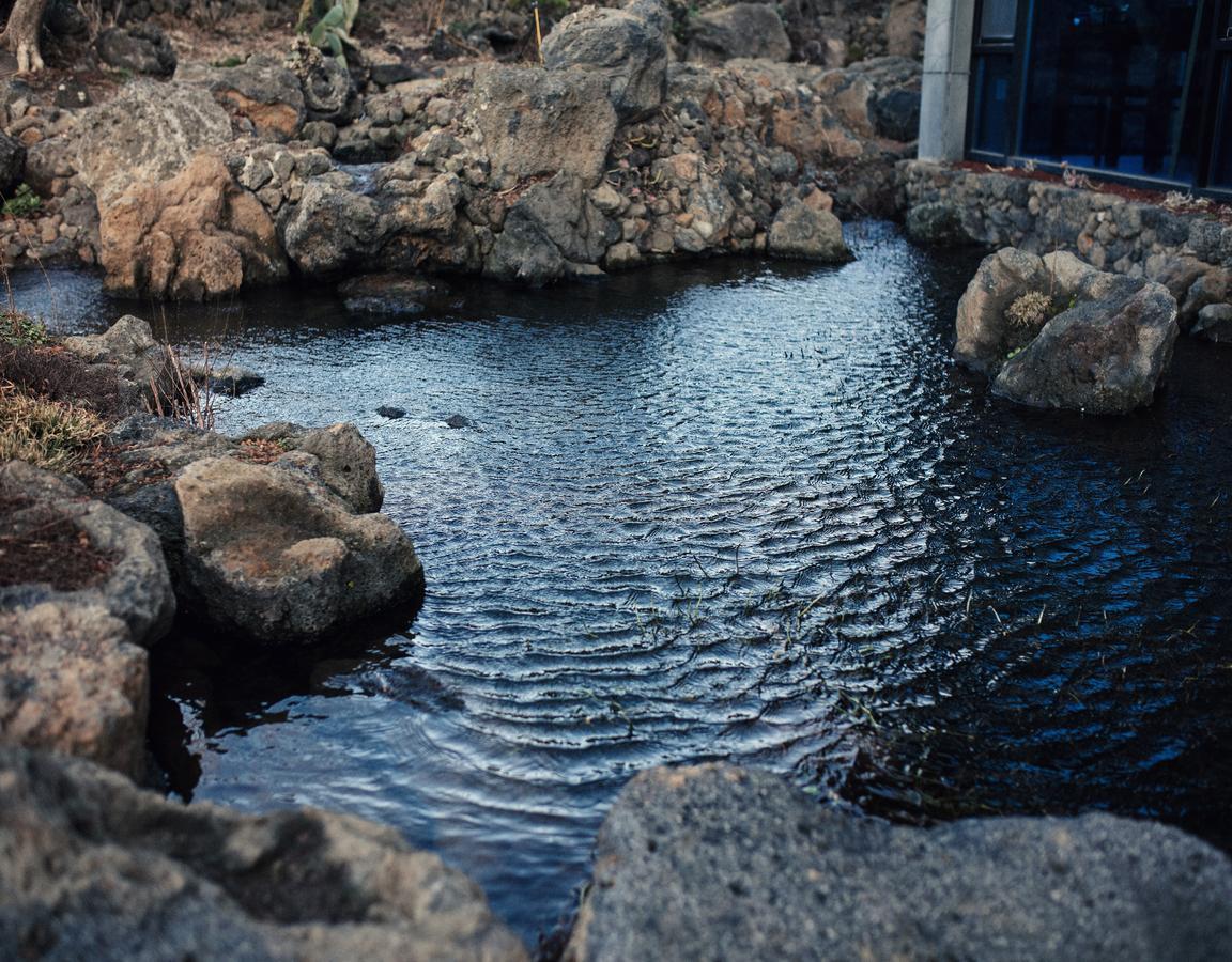Jeju Feel Pension Exteriör bild